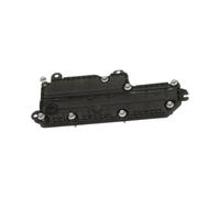 Separatori Acqua E Carburante Filtro Carburante Separatore Olio-acqua Per Commander Per Wrangler Per Cherokee 4893609AD 50053839 Separatore Dell'olio E Dell'acqua