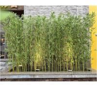 Separé da esterno Albero di bambù artificiale per esterni 1,5 m di altezza, Pianta dell'albero finto per lo schermo decorativo per la privacy(100 Pack,1.2m/3.9ft Tall)