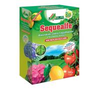 Sequealfe BIO Chelato Ferro Rinverdente Alberi Prato Orto Clorosi 250 gr ALFE