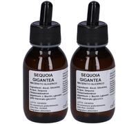 Sequoia Gigante Mg10% Gtt100Ml 2x100 ml Gocce orali