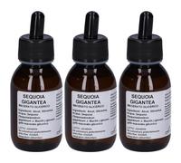 Sequoia Gigante Mg10% Gtt100Ml 3x100 ml Gocce orali