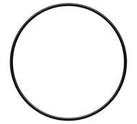 sera pond O-ring per blocco motore per PP 12000, 1 pz.