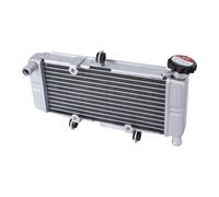 Serbatoi radiatore per moto Compatibile Con CBR250R 2011 2012 2013 Per CB300F 2015 2016 2017 2018 Radiatore Di Raffreddamento Del Serbatoio Dell'acqua Per Motocicletta Radiatore Di Raffreddamento