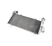 Serbatoi radiatore per moto Compatibile Con Panigale 1199 Per Panigale 1199S Per Panigale 1199R 2012 2013 2014 2015 2016 2017 2018 2019 Radiatore Superiore Inferiore Raffreddamento Motore(Upper)