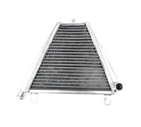 Serbatoi radiatore per moto Compatibile Con Panigale 1199 Per Panigale 1199S Per Panigale 1199R 2012 2013 2014 2015 2016 2017 2018 2019 Radiatore Superiore Inferiore Raffreddamento Motore(Bottom)
