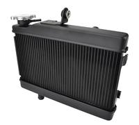 Serbatoi radiatore per moto Compatibile Con Rebel Per CMX300 Per CM300 2020 2021 2022 2023 Radiatore Per Motocicletta Raffreddamento Serbatoio Dell'acqua Di Raffreddamento Radiatore Del Liquido