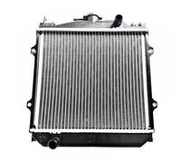 Serbatoio 'acqua per radiatore 276Q D800.04.02.01.00 compatibile con i modelli UTV ATV Buggy Go Kart Sand LJ276