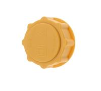 Serbatoio Bottiglia Motore Compatibile Con Ford Per Fiesta Mk6 1.25 1.6 2002-2006 2007 2008 Serbatoio Liquido Raffreddamento Radiatore Serbatoio Espansione 2S6H8K218AF 86FB8100GD