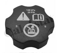 Serbatoio compensazione, Refrigerante ET0038C1 CALORSTAT by Vernet per OPEL