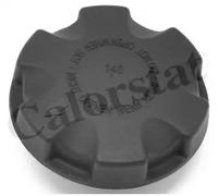Serbatoio compensazione, Refrigerante ET0138C1 CALORSTAT by Vernet per BMW X1 3
