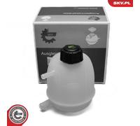 Serbatoio compensazione, Refrigerante per RENAULT MEGANE SCÉNIC