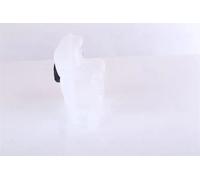 Serbatoio compensazione, Refrigerante Plastica 996123 NISSENS per FORD MAZDA