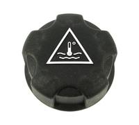 Serbatoio Coolant Overflow Per Citroen Per C4 Per C5 C6 C8 DS3 DS4 Tappo Radiatore Espansione Liquido Refrigerante 13060000 Serbatoio Compensazione Refrigerante(2)