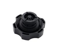 Serbatoio del Liquido di Raffreddamento per Chevrolet, Malibu, Captiva 2009-2016, Cruze 2000-2024, sigillante per Auto, Tappo del Serbatoio di espansione dell'Acqua del radiatore del Liquido di