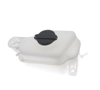 Serbatoio Dell'acqua Raffreddamento Compatibile Con Hyundai Per Santa Per Fe 2013-2018 Serbatoio Liquido Raffreddamento Auto 254302W000 compensazione Refrigerante