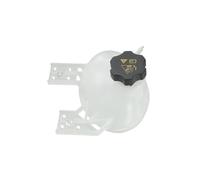 Serbatoio di espansione del radiatore dell'auto per Jeep Compass 2017-2022 Renega 2019-2022 Serbatoio del Liquido di Raffreddamento dell'auto Accessori per la Riparazione 68289857AA