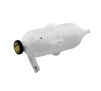 Serbatoio Di Espansione, Refrigerante Per RENAULT ESPACE IV 2.0DCI 06-
