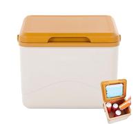 Serbatoio di raffreddamento termico - 5 l piccola scatola isolata, frigorifero, auto da stalla, picnic all'aperto, campeggio, frigorifero, frigorifero per frigo da campeggio freddo e fresco, scatola