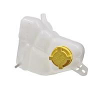 Serbatoio Di Refrirante Compatibile Con Ford Per EcoSport Per Fiesta V Per Fusion 1.4 1.6 2.0L Serbatoio Espansione Del Liquido Di Raffreddamento Con Tappo 2S658K218BA