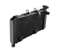 Serbatoio Espansione Liquido Raffreddamento Moto Per NC700X ABS Per DCT | Radiatore Di Raffreddamento Del Radiatore Motore Nero Moto Vaschetta Refrigerante Moto