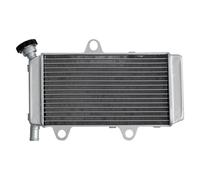 Serbatoio Espansione Liquido Raffreddamento Moto Per Yamaha Per XT660R | Raffreddamento Radiatore Radiatore Alluminio Moto Vaschetta Refrigerante Moto