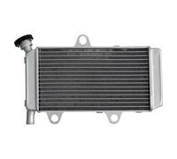 Serbatoio Espansione Liquido Raffreddamento Moto Per Yamaha Per XT660X | Dispositivo Raffreddamento Motore Radiatore Alluminio Moto serbatoio liquido refrigerante