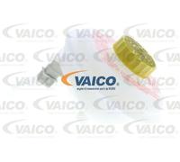 Serbatoio di espansione, liquido freni VAICO V10-1699 per A4 B5 (8D2) 1.6 1994-2