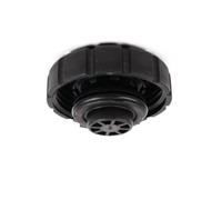 Serbatoio liquido raffreddamento Compatibile Con BMW Per C320 2001-2005 Per C350 2006-2011 Per C55 2005-2006 Tappo Serbatoio Espansione Liquido Raffreddamento Radiatore Accessori