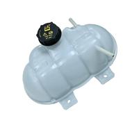 Serbatoio Liquido Raffreddamento Per Ford Per Mustang 2015-2022 FR3Z8A080A 3M5H8100AD Espansione Serbatoio Del Liquido Di Raffreddamento Con Coperchio 527359 Auto