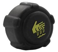 Serbatoio Raffreddament Compatibile Con Clio Per Mk2 Per Kangoo Vaso Di Espansione Del Liquido Refrigerante Motore Auto Coperchio 7701470460 8200048024