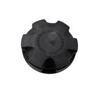 Serbatoio Refrigerante Acqua Compatibile Con BMW Per E82 E90 E92 X1 X2 X3 X4 X5 X6 X7 Z4 OEM: 17117521071 17117639020 Tappo Del Serbatoio Di Espansione Liquido Raffreddamento Radiatore