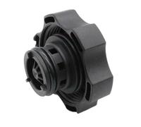 Serbatoio Refrigerante Acqua Compatibile Con Chrysler Per Pacifica 2020 68096261AA 68102155AB 68102155AC 68102155AD Tappo Del Serbatoio Di Recupero Del Liquido Di Raffreddamento Del Radiatore Motore