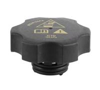 Serbatoio Refrigerante Acqua Compatibile Con Chrysler Per Pacifica 68249136AA Serbatoio Espansione Serbatoio Raffreddamento Tappo Serbatoio Espansione Radiatore Liquido Raffreddamento