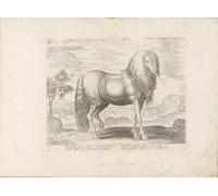 SERENDIPITP Astratta Della Poster Quadri su Tela Stampa su Tela da Parete leStagioni di Jan Van Der Straet per L'arredamento Della Camera da Letto 60x90cm