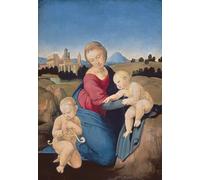 SERENDIPITP Astratta Della Poster Stampe su Tela Pittura su Tela la Dama Esterhazy Raffaello Sanzio Raffaello per Decorazioni per la Casa 60x90cm