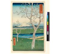 SERENDIPITP Astratta Della Poster Stampe su Tela Pittura su Tela Trentasei vedute del Monte Fuji di Utagawa Hiroshige per Decorazioni per la Casa 60x90cm