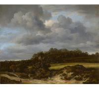 SERENDIPITP Dipinto su Tela Immagine Pittura Quadri Stampe Campo di grano di Jacob Van Ruisdael per Decorazioni per la Casa 60x90cm