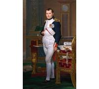 SERENDIPITP Dipinto su Tela Immagine Pittura Quadri Stampe l'imperatore Napoleone nel suo studio alle Tuileries Jacques Louis David per Decorazioni per la Casa 60x90cm