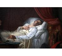 SERENDIPITP Quadri da Parete Quadri Stampe Dipinto su Tela Classico la morte del generale Moreau di Louis Charles Auguste Couder per la Decorazione Della Parete 60x90cm