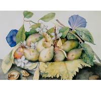 SERENDIPITP Quadri da Parete Quadri Stampe Dipinto su Tela Classico Piatto con Prugne Gelsomino e Noci di Giovanna Garzoni per la Decorazione Della Parete 60x90cm