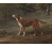 SERENDIPITP Quadri da Parete Quadri Stampe Dipinto su Tela Classico Ranger un setter di proprietà di Elizabeth Gray di George Garrard per la Decorazione Della Parete 60x90cm