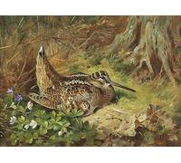 SERENDIPITP Quadri da Parete Quadri Stampe Dipinto su Tela Classico una beccaccia e pulcini di Archibald Thorburn per la Decorazione Della Parete 60x90cm