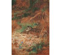 SERENDIPITP Quadri da Parete Quadri Stampe Dipinto su Tela Classico una beccaccia e un pulcino nel sottobosco di Archibald Thorburn per la Decorazione Della Parete 60x90cm