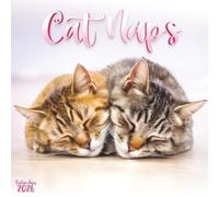 Serene Cat Naps 2026 Calendar: 12 Months of Tranquil Moments and Cozy Cat Naps