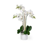 Serene Spaces Living 3 orchidee Phalaenopsis bianche realistiche in vaso, fiori artificiali in vaso, bellissimo vaso da ingresso, decorazione da tavolo per ingresso, misure 66 cm di altezza e 12,7 cm