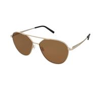 Serengeti Odell SS555001