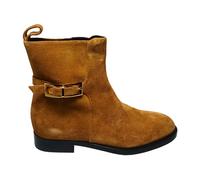 Sergio Rossi - stivali e stivaletti in camoscio - - Shoes - Donna - Marrone - 37 EU