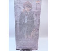 Serial Experiments Lain POP UP PARADE L Lain Iwakura Figure New Good Smile Co
