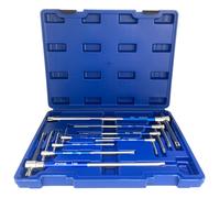 Serie 8 Chiavi Torx T10-T55 con Manico a T Scorrevole Acciaio Cromo Vanadio