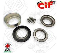 SERIE CALOTTE STERZO INFERIORE APE 50 P50 TM50 FL2